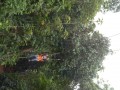 Tn DSC 4009